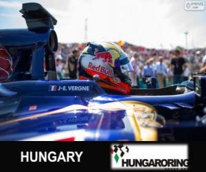 yapboz Jean-Eric Vergne - Toro Rosso - Hungaroring, 2013